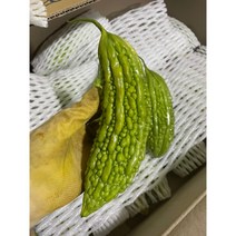 여주 1KG 2023 햇여주 고야 생여주 비터메론, 1봉