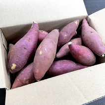 [세척] 간식용 꿀고구마 한입사이즈, 2kg, 1박스