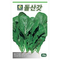 수세미 10립 수세미씨앗 수세미씨 스무드루파 시누아 채소씨 채소씨앗 야채씨앗 야채씨, 01_다농_돌산갓(20g)