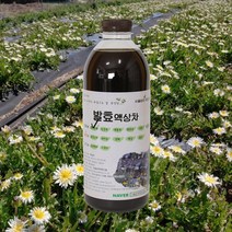 자연미가 흰민들레 효소액 1000mlx1병 /ss 자연숙성 발효액100%, 1000ml x1병