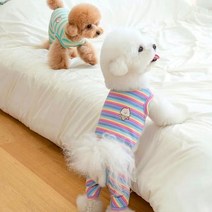 강아지 봄옷 닥스훈트옷 귀여운 애완 동물 캐주얼 착용 개 옷 푸들 테디 비숑 고양이 포메라니안 요크셔 테리어 슈나우저 작은 의류 XS, [05] XL, [03] White send scarf