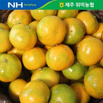 제주 위미농협 하우스감귤 1.5kg(15-25과), 1개