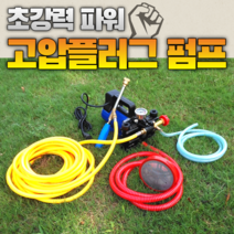 이동형 고압 양수기 펌프 12V48V60V220 볼트 고전압 농업용 전기 분무기 농약 제초제 살충제 방제 방역 살포기, 24V 플런저 펌프30 미터 고압 튜브