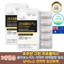천연 호주 프로폴리스 최대함량 플라보노이드 아연 건조효모 가루 입냄새제거 먹는 PROPOLIS 비프로폴리스 프로폴리스 항산화제 면역력 증진 강화 에좋은 음식 건강기능식품 선물 추천