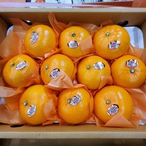 [과애모] 달콤새콤 제주 산지 직송 특 로얄과 천혜향 3kg/5kg 가정용 선물용, 천혜향3kg선물용