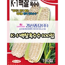 경신종묘 백찰옥수수 100립 파종용 옥수수 씨앗 당일발송