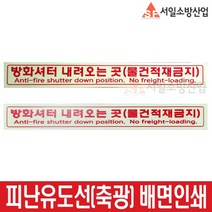 배면인쇄 피난유도선 축광표지 방화셔터내려오는곳(물건적재금지)