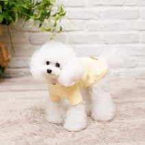 펫디자인 쭈리반팔티셔츠 2colors 강아지옷 강아지티셔츠, 옐로우