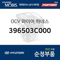 OCV 와이어 하네스 (396503C000) 그랜저TG 그랜저HG 쏘나타NF 아슬란 에쿠스 제네시스 맥스크루즈 베라크루즈