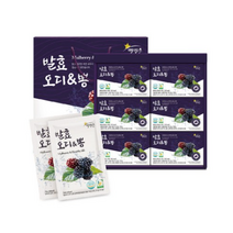 별빛촌 발효 오디 뽕 오디즙 30p, 70ml, 150개입