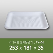 태양산업사 일회용 포장용기 배달포장용기 식품포장 음식포장 일회용기 스티로폼 TY66 100개 1박스, 1box, 100개입