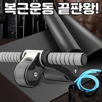 2휠 광폭 바퀴 복근 운동기 상체 공원 운동기구 남자 뱃살빼는 운동기구 기계