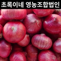 산지직송 자색 양파 무안양파 햇양파 조생양파 양파 적양파 3kg 5kg 10kg, 자색양파 10kg