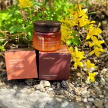 이니스프리 꽃송이 버섯 바이탈 크림, 60ml, 1개