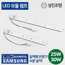 LED 모듈 램프 25W 30W, LED모듈램프25W(주광색)