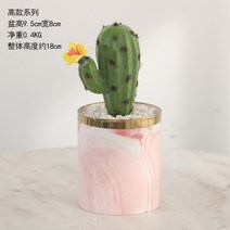 선인장 조화 화분 사무실 책상 거실 침실 테이블 인테리어 실크플라워 미니 화분, 키 큰 화분 G