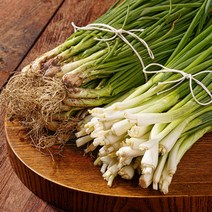 농가살리기 국내산 흙쪽파 깐쪽파 쪽파 노지 실파 1단 1kg 이상, 흙쪽파 1단 1kg 이상