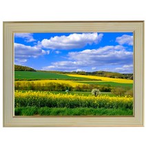 X430-5/유채꽃사진액자 A4 벽걸이액자 포토액자 벌판사진 들판사진 벽장식 풍경화 풍경사진 풍경화그림, 유채꽃사진액자