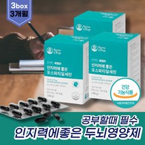 프리미엄 두뇌영양제 대두레시틴 인지질 혈행개선제 플라보노이드 머리영양제 기억력 콜레스톨 뇌건강 수험생영양제 PS 포스타딜세린 은행잎추출물 레시틴 토코페롤 비타민E 항산화