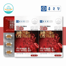 혈행건강 나토키나제 영양제 약 ﻿1개월 혈액 순환 혈관 음식 효능 콜레스테롤 청소 낫또, [5%할인] 2박스 / 2개월분
