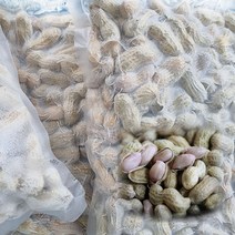 [흙땅콩] [산지직송] 안면도 황토흙 생땅콩(피땅콩) 500g 1kg