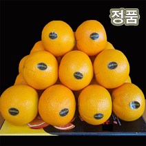 블랙라벨 오렌지 고당도 썬키스트 퓨어스펙 네이블 캘리포니아 17kg 88과 중과 대과, 썬키스트 블랙라벨 중과(M) 10개