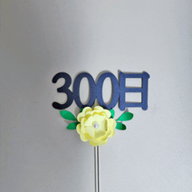 꽂진주 300일토퍼 첫돌 셀프상차림-환갑 인천서구 검단 청라 김포 케이크토퍼대량소량제작