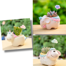 특이한 화분 캐릭터 동물화분 3종 공기정화식물 수경재배 미니식물 다육이 루고, 유니콘