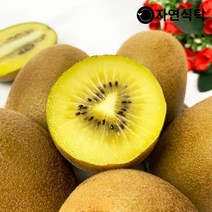 국내산 제주 골드키위 10과/20과 사이즈별, 골드키위 20과 대과(개당105g내외), 1개
