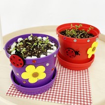 어린이 정서발달도움 씨앗 식물재배 배양토 화분 가드닝세트 키우기쉬운 유아교구