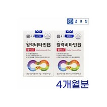 활성 비타민B군 비군 종합 영양제 B1 B2 B5 B6 B7 B12