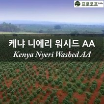 (커피생두) 2022년 뉴크롭 케냐 니에리 워시드 AA, 250g