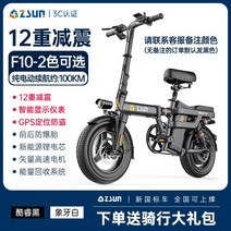 zsun전기자전거 전동자전거 접이식 대용량배터리 배민커넥트 출퇴근용 배달용, F10(프리미엄형)-20AH 주행거리80KM, 탄소