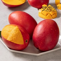 맛있는 과일엔 항공직송 대만 어윈 애플망고 10-12과 대과 5kg내외, 없음