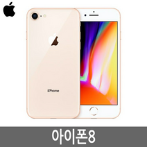 플 아이폰8 iPhone8 64G/256G 정품, 스페이스그레이, 아이폰8 64G (A급)