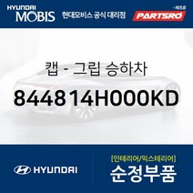 캡-그립 승하차 (844814H000KD)-현대모비스 부품 공식대리점 온라인쇼핑몰 파츠로 그랜드 스타렉스