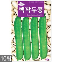 적작두콩 씨앗 10립 - 씨 작두콩씨앗 작두콩씨 작두콩 콩씨앗 콩씨 텃밭 주말농장, 18_백작두콩(10립)