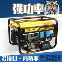 자가 발전기 캠피용 가정용 비상용 차박 독일 수입 가솔린 소형 야외 연료 효율적인 단상 220v 삼상 380 볼트 5/6/8KW10, [13] 5500W 수동 시작 220v