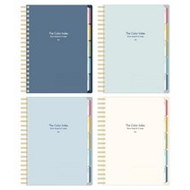 아이비스 5 인덱스 PP 스프링 노트 업무 과목 필기, 블루