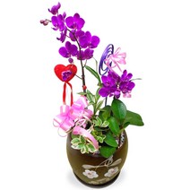 엔젤플라워 화려한서양란 BEST 개업호접란 만천홍 기념일선물, A01 만천홍