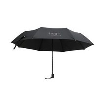 카운테스마라 3단 폰지