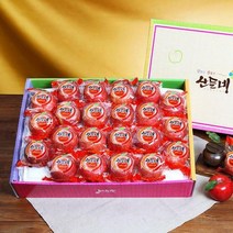 (주)인정에프앤비 [산들네] 껍질째 먹는 경북 세척사과 5kg 28과내, 단품없음
