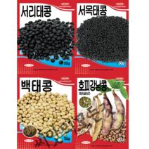 서리태콩씨앗 서목태(쥐눈이콩) 백태(메주콩) 호피강낭콩덩쿨종자 오리지날토종콩모음집 경신, 호랑이콩(호피강낭콩)