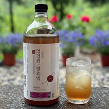 국내산 가시 엉겅퀴 즙 엉겅퀴청 엉겅퀴차 100% 국내산 3년 자연 숙성 음료, 1개