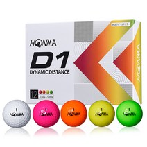 혼마 NEW D1 골프공 2피스 12p, 화이트, 2개