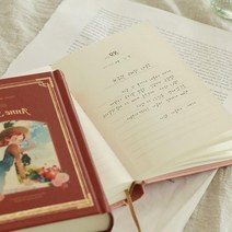 여자친구선물 빨간머리앤 1년기록 양장노트 일기장 북아트 가계부, 레드