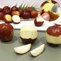 보은햇사과대추 1kg 2kg 2023년 9월제철 하우스 국산 생사과대추 예약판매 선물용 특대과 산지직송 고당도 왕대추 생과, 생사과대추 1kg 특대과 선물포장(10월5일 첫출고)