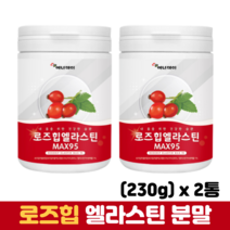 로즈힙분말 먹는콜라겐 가루 비타민C 저분자 피쉬 콜라겐 엘라스틴 로즈힙 열매, 2통, 230g