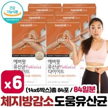 체지방 감소 도움 가르시니아 유산균 다이어트 14포 ﻿x 2박스 4주분 . 건강기능식품 장 밸런스 HCA + 프로바이오틱스 무첨가물 간편한 스틱포장, 3세트 ( 6박스, 12주분 )