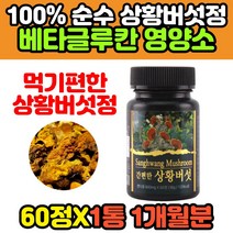 100% 야생 목질진흙버섯 상황버섯 균사체 60정 50대 60대 중년 여성 남성 자실체 찔레 뽕나무 자연산